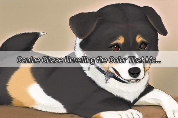 Canine Chase Unveiling the Color That Makes Dogs Run Wild